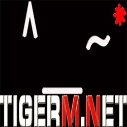 TIGERM.NET - TIGERM 